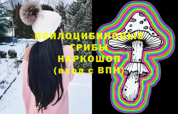спиды Алексин